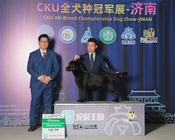 阿瑞斯